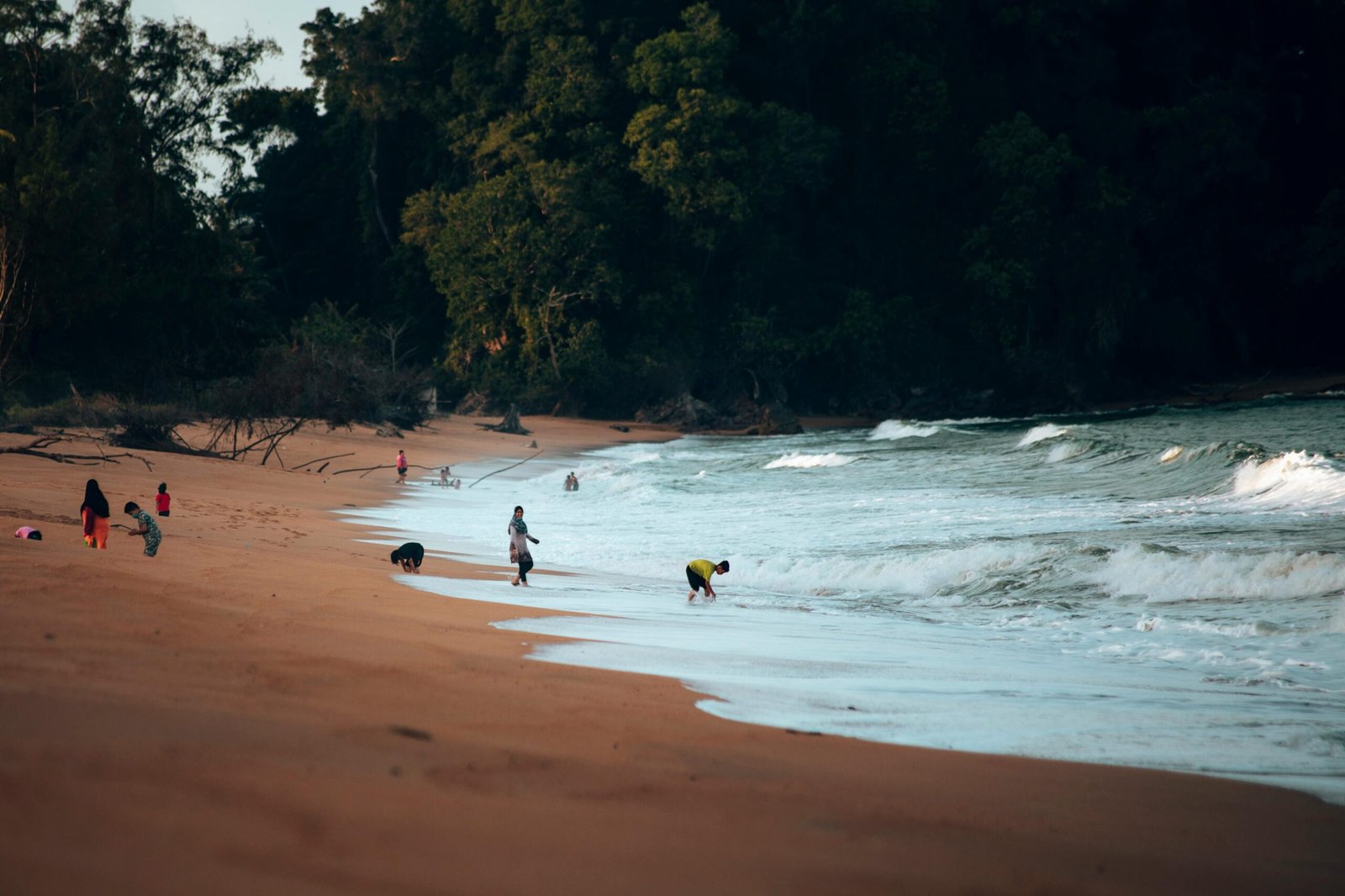 Organiser ses excursions à Zanzibar : logique, rythme et expériences mémorables