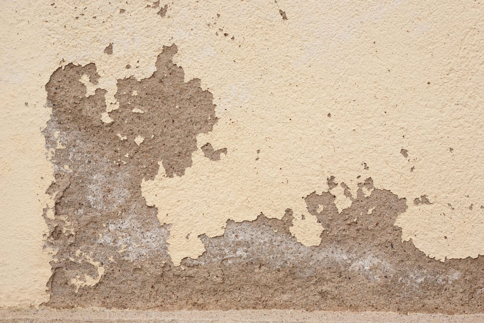Pourquoi les problèmes d’humidité dans une maison ne doivent jamais être sous-estimés