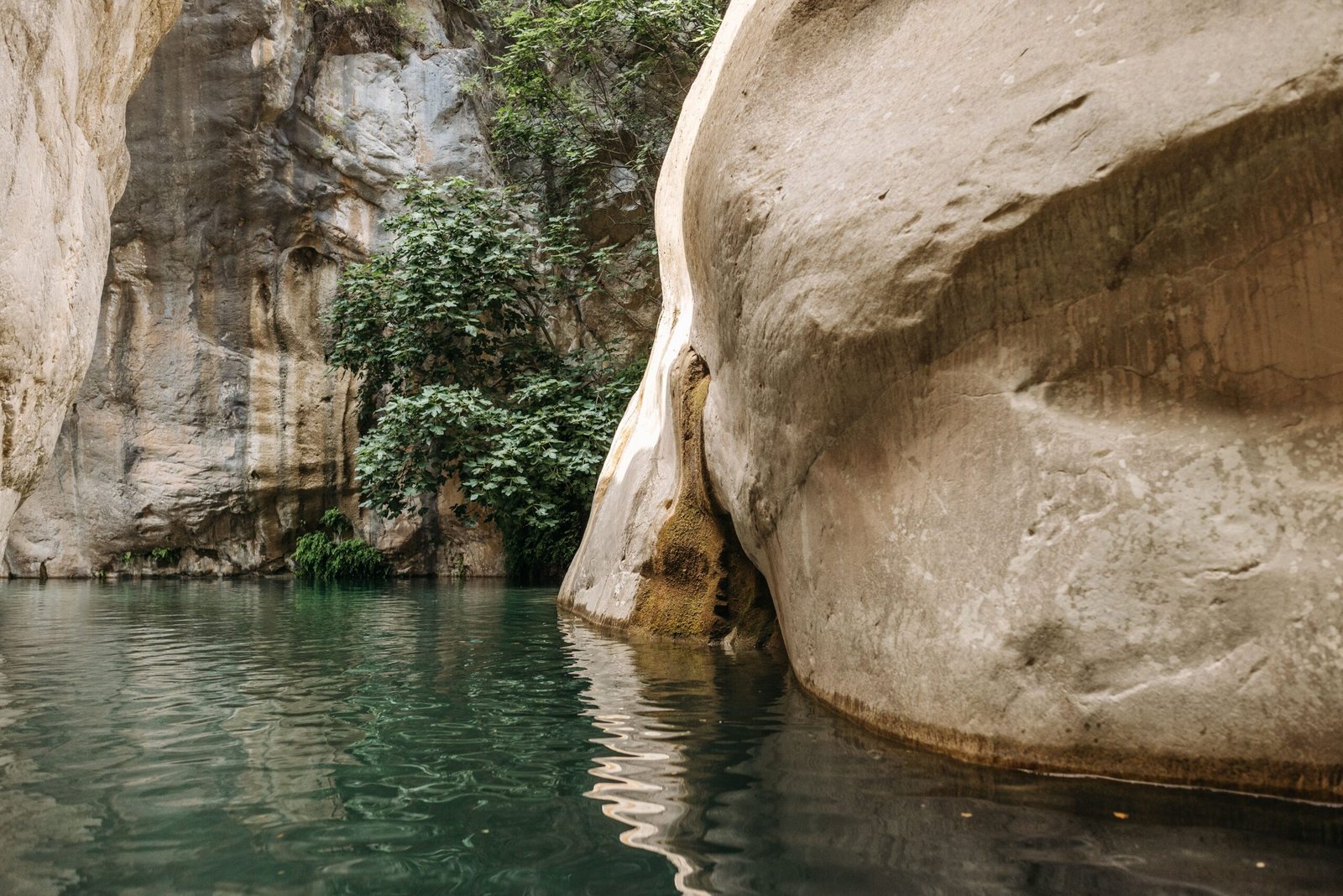 Canyoning en Provence : pourquoi le Verdon est une destination incontournable pour les amateurs d&rsquo;aventure